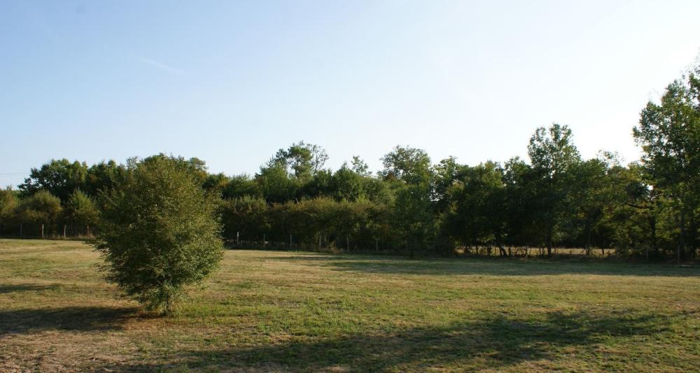 ducateur canin et pension féline