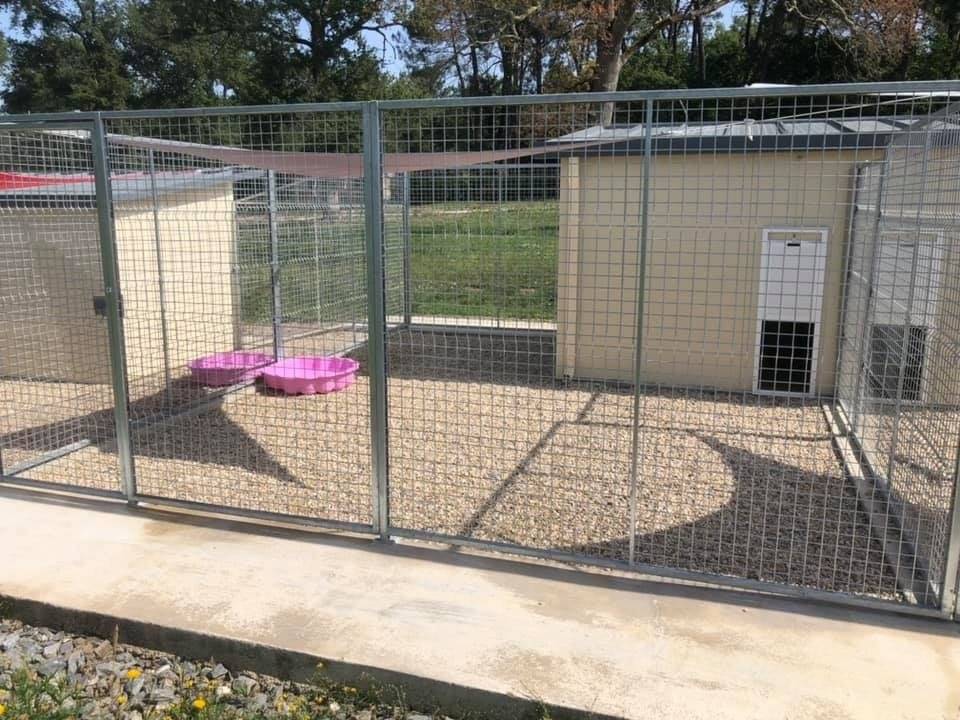 Centre Canin  et Félin Mas Dog près de Langon - éducation canine 1