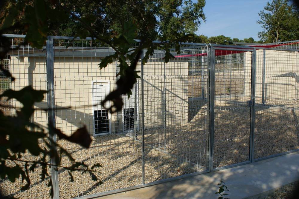 Centre Canin  et Félin Mas Dog près de Langon - éducation canine 3